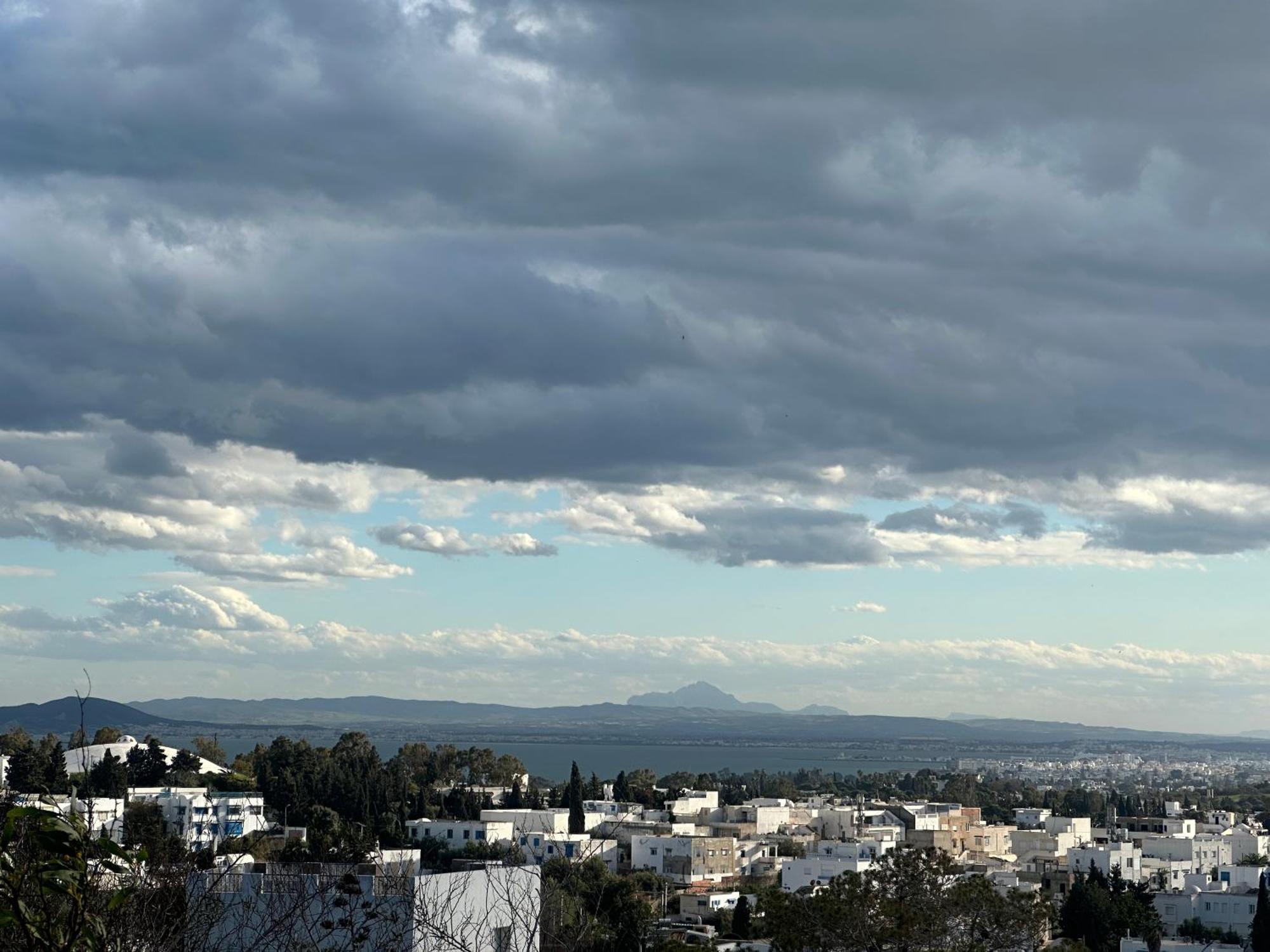 La Perle Sidi Bou Saidアパートメント エクステリア 写真